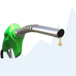 Will Petrol price in Delhi be reduced in December?